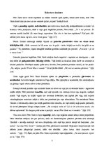 Referāts 'Pēra Ginta tēla analīze', 8.