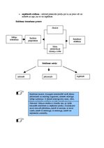 Konspekts 'Reklāmas veidi', 2.