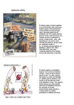 Konspekts 'Reklāmas veidi', 6.