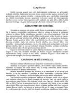 Referāts 'Metālu korozija', 5.