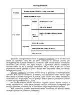 Referāts 'Metālu korozija', 8.