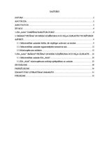 Referāts 'SIA "A" mikrouzņēmuma nodokļa maksātāja grāmatvedības uzskaite un nodokļi', 2.