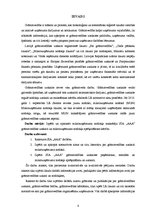 Referāts 'SIA "A" mikrouzņēmuma nodokļa maksātāja grāmatvedības uzskaite un nodokļi', 6.