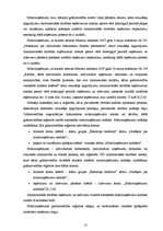 Referāts 'SIA "A" mikrouzņēmuma nodokļa maksātāja grāmatvedības uzskaite un nodokļi', 19.