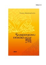 Referāts 'Izjūtas dzīvē un Laimas Muktupāvelas romānā "Šampinjonu derība"', 29.