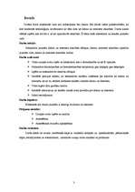 Referāts 'Atkarība no datora un interneta', 3.