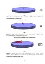Referāts 'Atkarība no datora un interneta', 11.