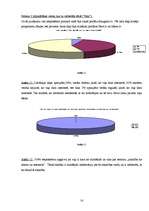 Referāts 'Atkarība no datora un interneta', 14.