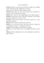 Referāts 'Gotika', 14.