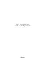 Referāts 'Nervu muskuļu sinapse', 1.