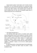 Referāts 'Nervu muskuļu sinapse', 5.