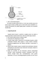 Referāts 'Nervu muskuļu sinapse', 6.