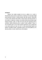 Referāts 'Nervu muskuļu sinapse', 11.