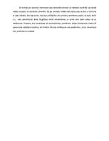 Eseja 'Recenzija par izstādi "Pašportrets"', 2.