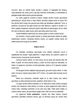 Konspekts 'Buljonu mērces', 3.