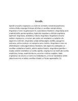 Konspekts 'Vingrošana', 3.