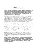 Konspekts 'Vingrošana', 4.