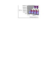 Konspekts 'Ieskaites darbs investīciju ekonomikā', 77.