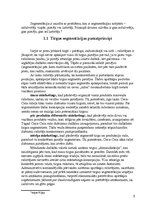 Referāts 'Segmentēšanas veidi un metodes', 5.