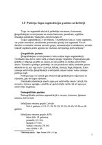 Referāts 'Segmentēšanas veidi un metodes', 7.