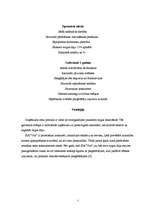 Referāts 'Uzņēmuma - SIA ”Vita” analīze', 5.