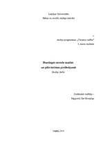 Referāts 'Dundagas novada muižas un pilis tūrisma piedāvājumā', 1.