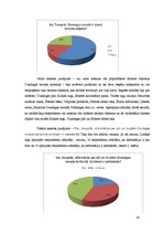 Referāts 'Dundagas novada muižas un pilis tūrisma piedāvājumā', 16.