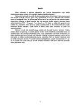 Referāts 'Datora ekrāna filtri', 2.