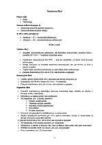 Referāts 'Datora ekrāna filtri', 3.