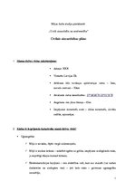 Paraugs 'Civilās aizsardzības plāns', 1.