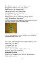 Prakses atskaite 'Prakses mape sākumskolā logopēdiskajā punktā', 17.