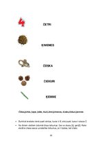 Prakses atskaite 'Prakses mape sākumskolā logopēdiskajā punktā', 20.