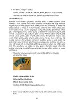 Prakses atskaite 'Prakses mape sākumskolā logopēdiskajā punktā', 21.