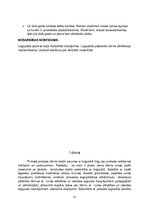 Prakses atskaite 'Prakses mape sākumskolā logopēdiskajā punktā', 31.