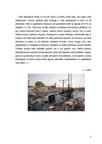 Referāts 'Grunts skalošanas metodes', 4.