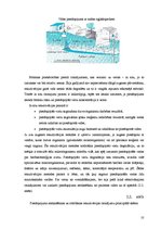 Referāts 'Grunts skalošanas metodes', 10.