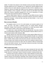 Referāts 'Individual Management Report. Starbucks Corporation Ltd. Marketing Audit and Str', 11.