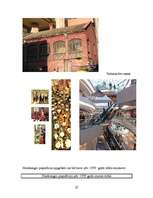 Referāts 'Honkonga', 22.