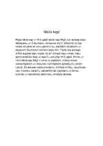 Referāts 'Mans 11. novembris. Pārspriedums', 3.