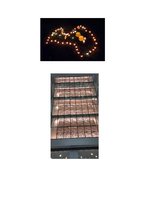 Referāts 'Mans 11. novembris. Pārspriedums', 12.