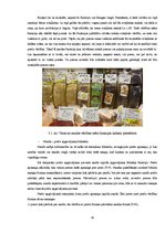 Referāts 'Naudas būtība un funkcijas', 14.