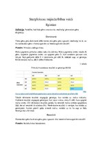 Paraugs 'Starplokusu mijiedarbības veidi', 1.