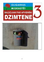 Referāts 'Politiskās patriotiskās apvienības "Dzimtene" iespējas Latvijas politiskā vidē u', 17.