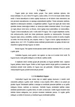 Konspekts 'Čuguns', 3.