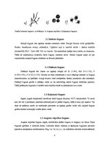 Konspekts 'Čuguns', 4.