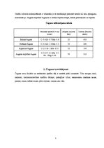 Konspekts 'Čuguns', 5.