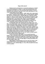 Eseja 'Bēgļu problēma pasaulē', 1.