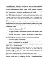 Referāts 'Zīmju valoda', 13.