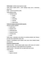 Konspekts 'Tiesību teorija', 1.