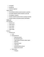 Konspekts 'Tiesību teorija', 2.